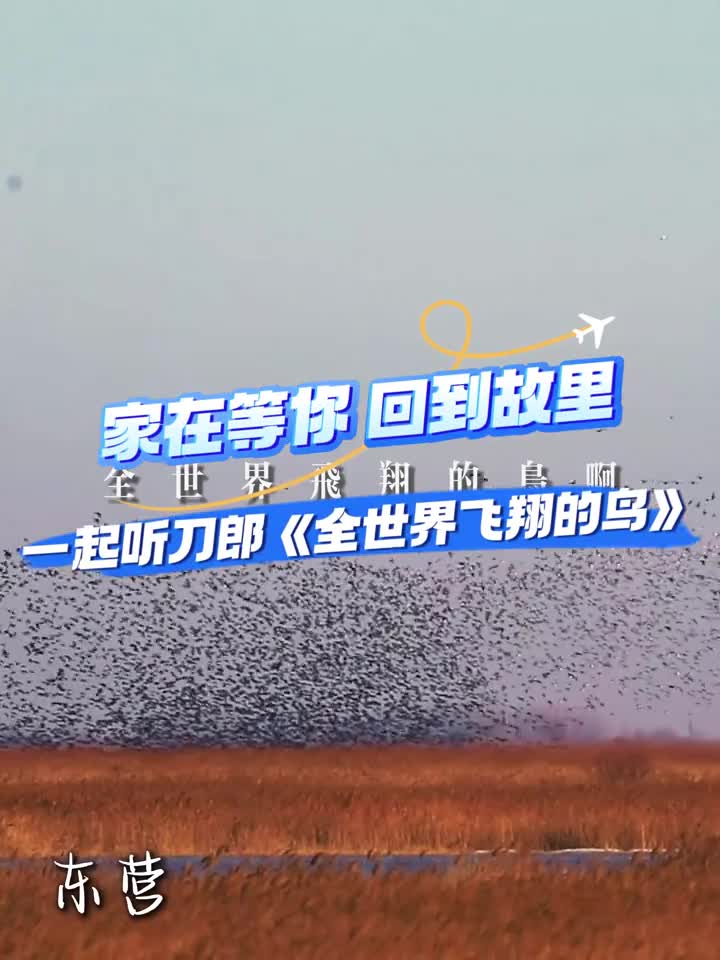 家在等你回到故里这首