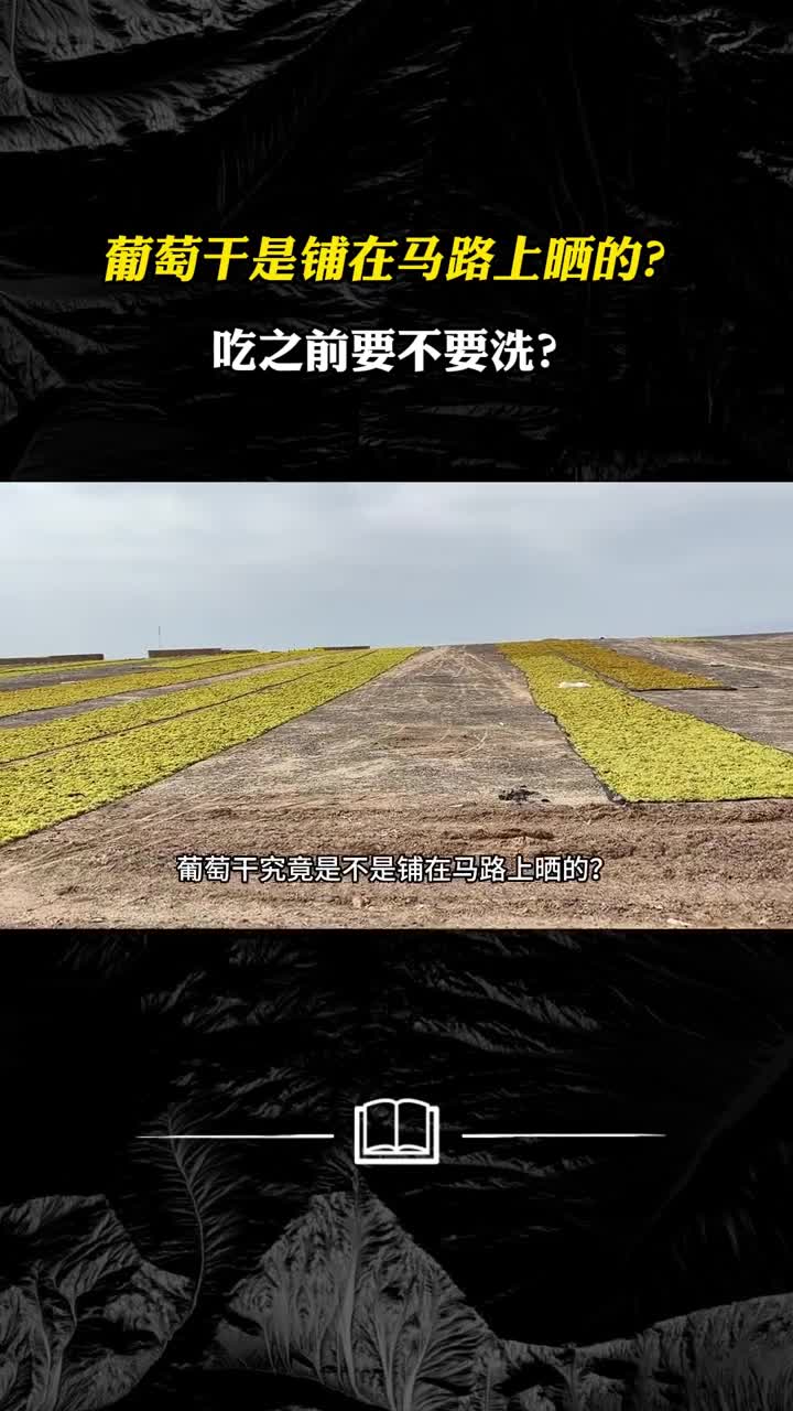 葡萄干是铺在马路上晒的吃之前要不要洗