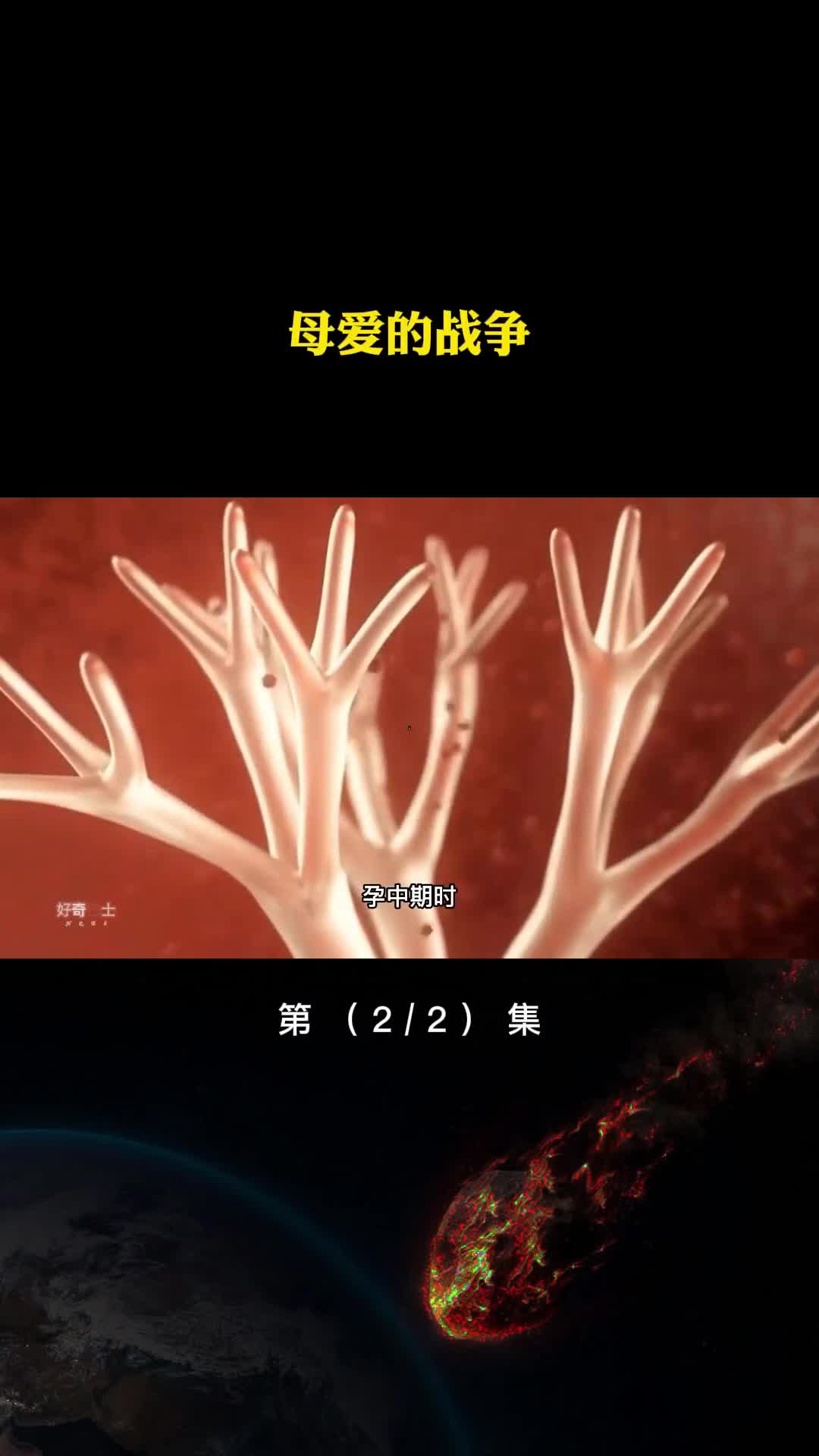 怀孕竟是一场博弈孕妇与胚胎是死对头母爱源于残酷的斗争