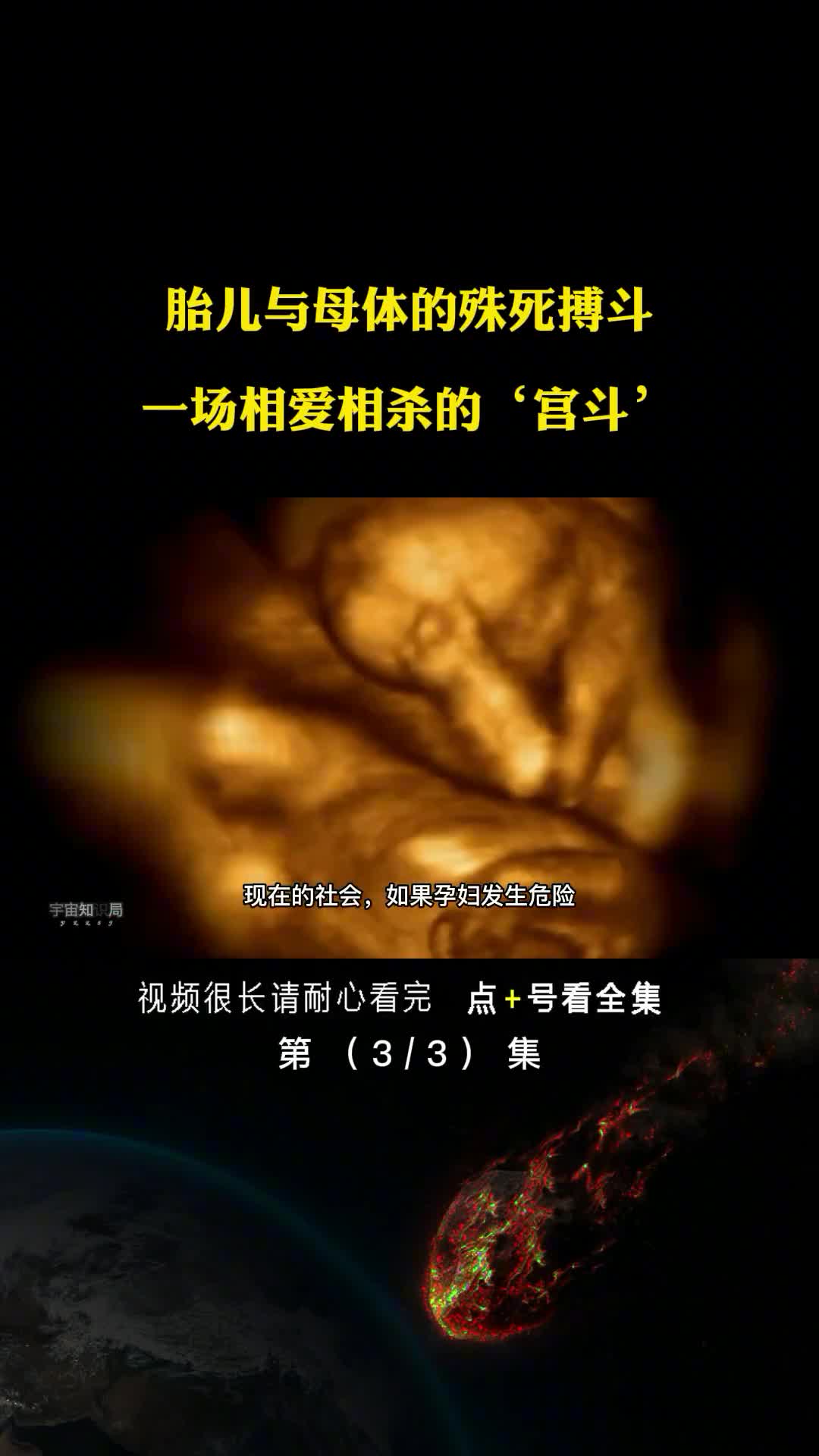 胎儿与母体的殊死搏斗一场相爱相杀的宫斗解密人类基因背后的秘密