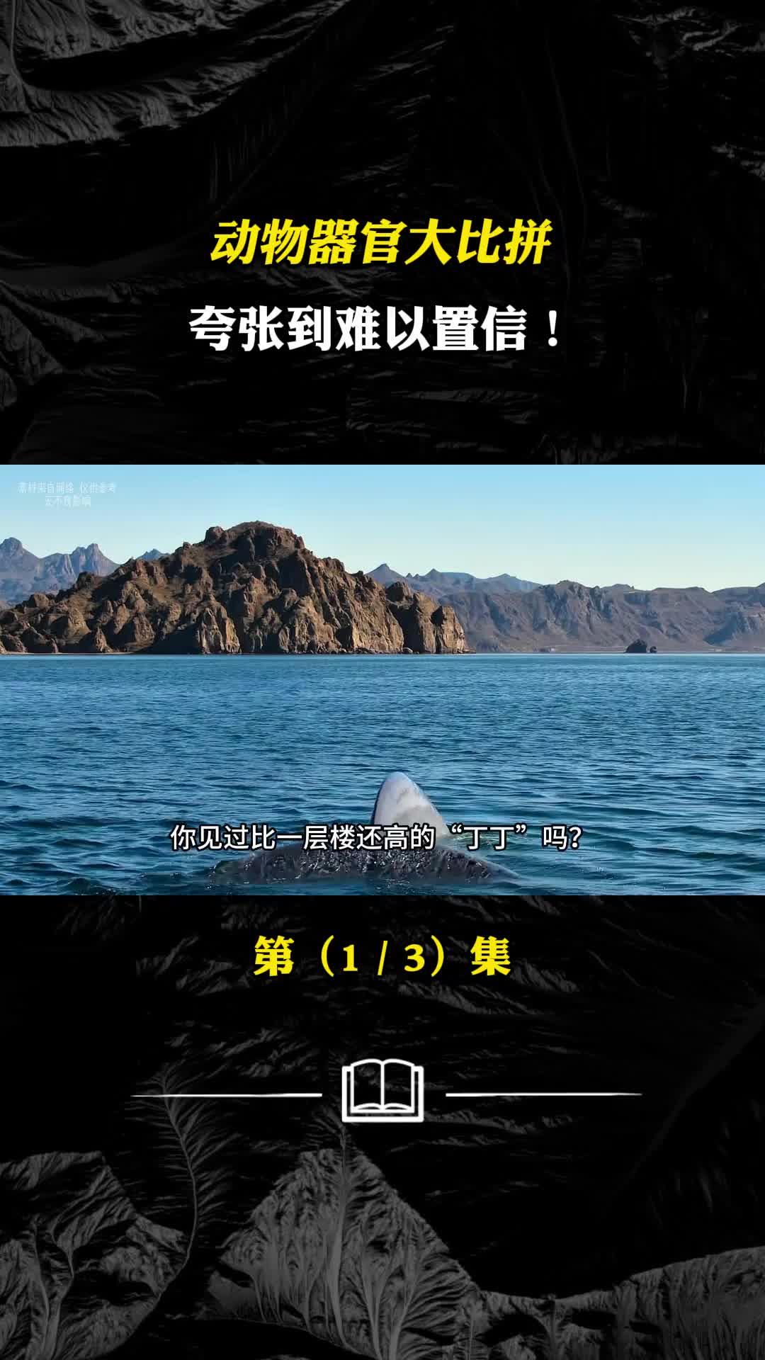 动物器官能有多大蓝鲸器官太离谱了