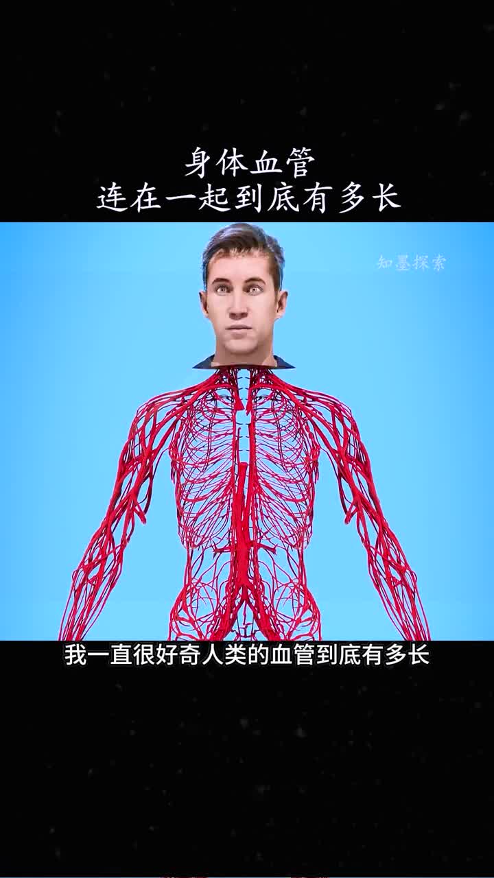 人身体上的血管到底有多长