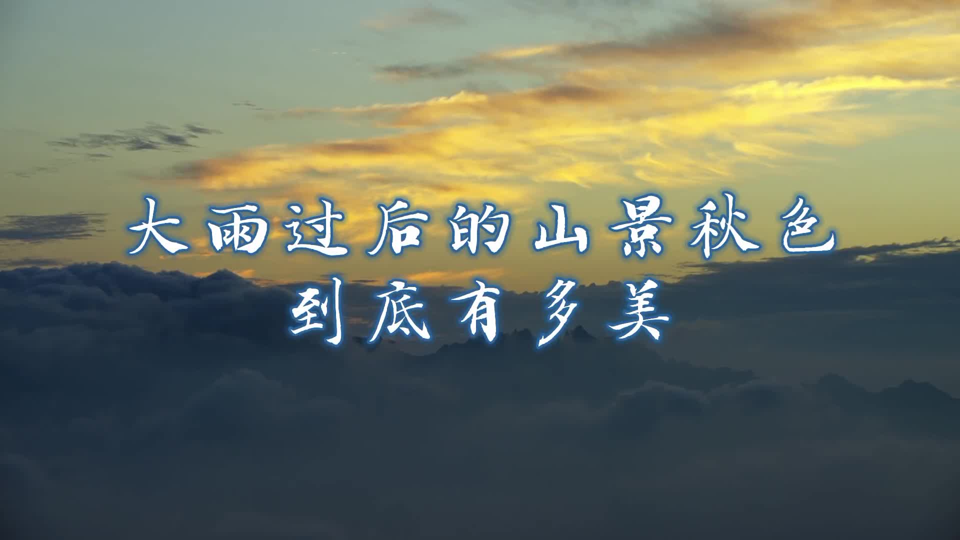 大雨已经下了两天了出不了门那就欣赏一下山中的雨后美景吧