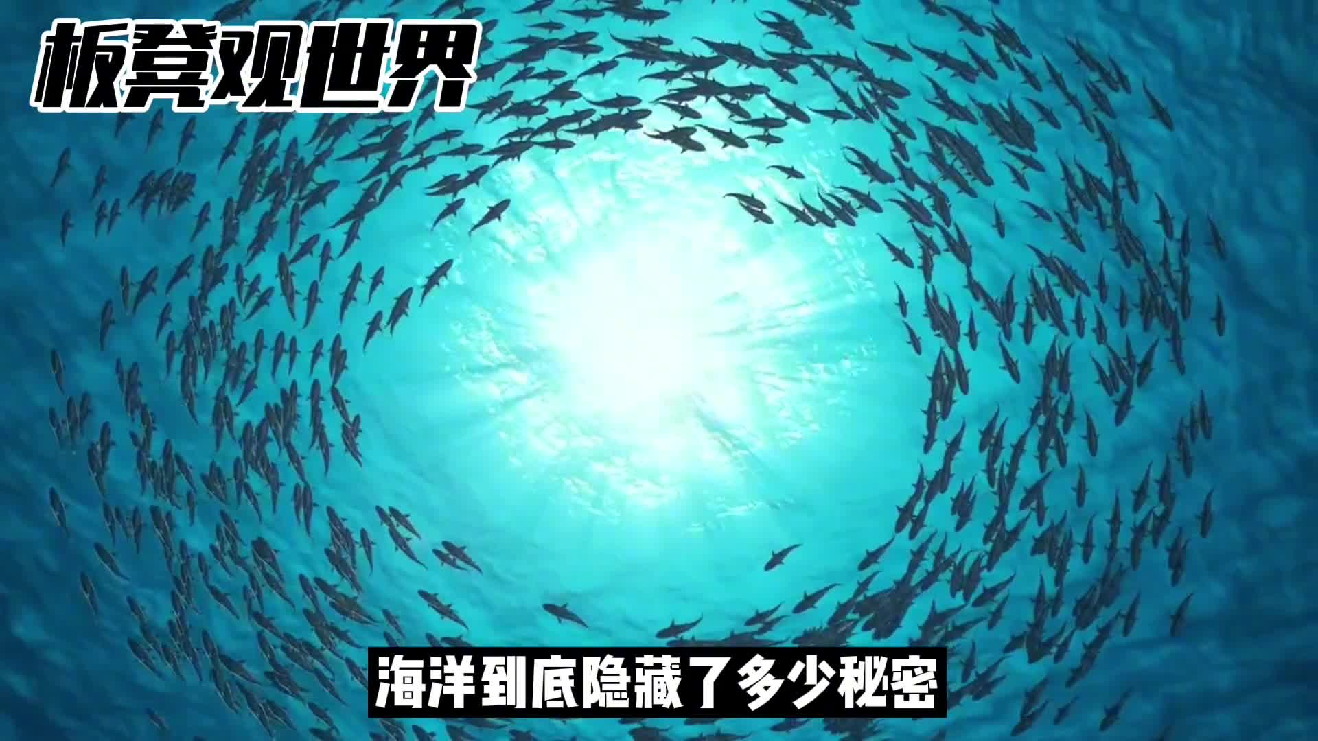 海洋到底有多少奇葩的生物