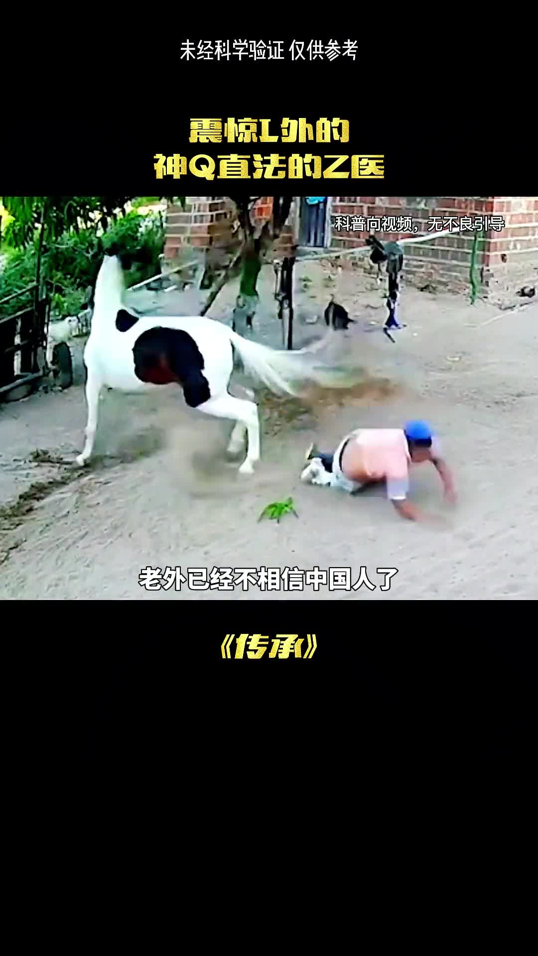 老祖流传下来的东西这么神奇吗