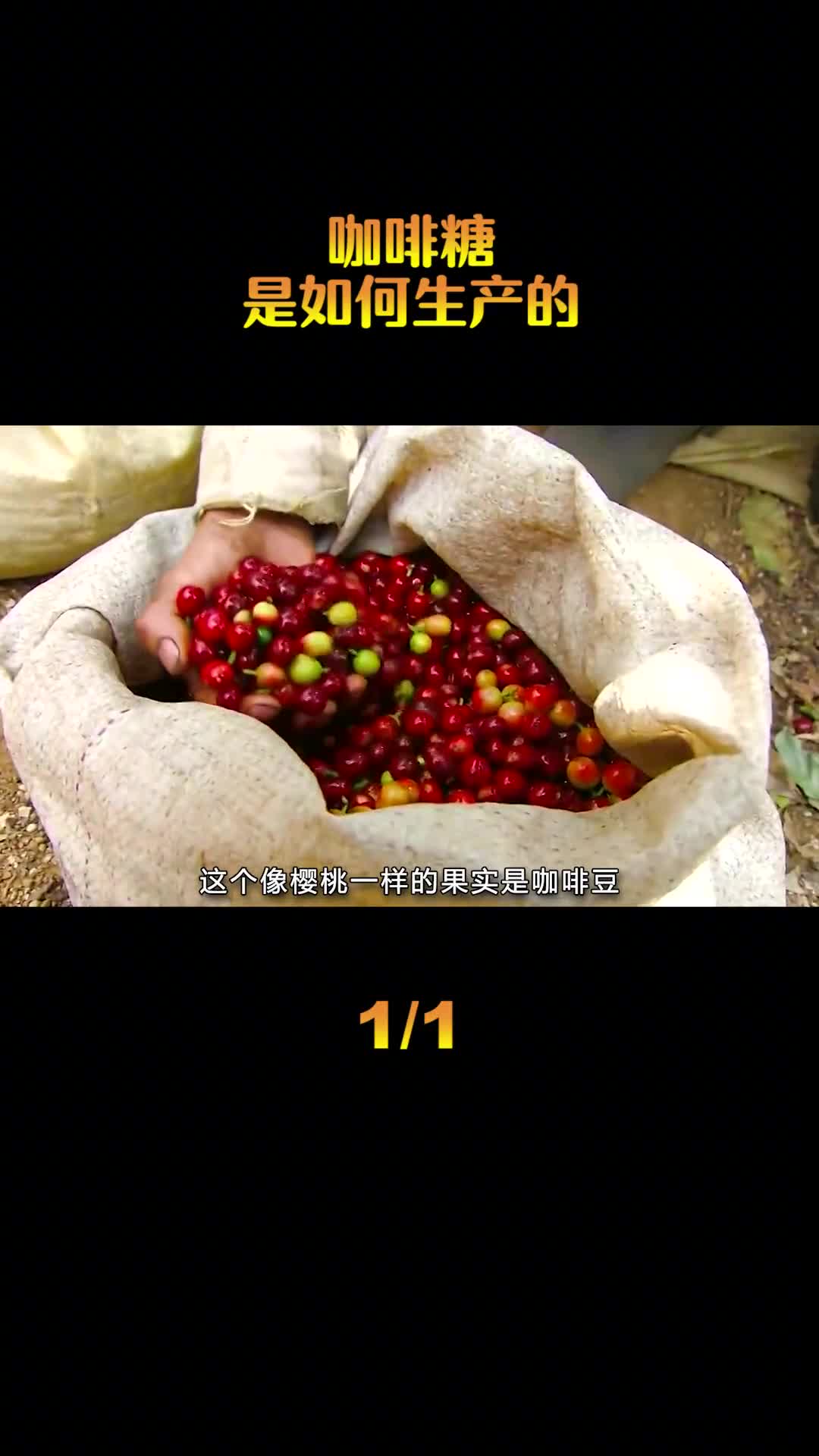 咖啡糖是如何生产的