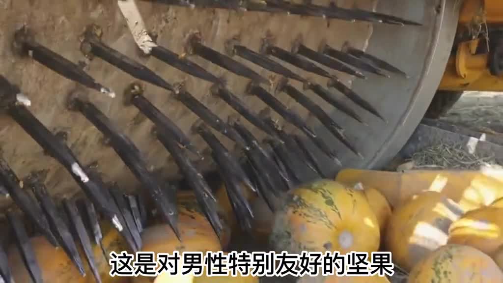 吃南瓜子对男性有什么好处