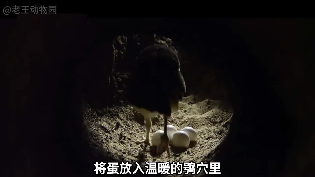 如果人生注定要碰壁那我希望是人民币