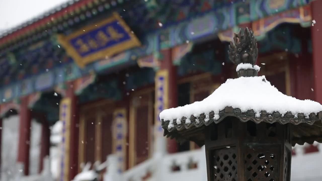 从来没有一个春天让我如此期待我期待再出发去看海去看花去尝遍美食去走遍齐鲁大地美好的时光都在路上春暖花开一路向阳