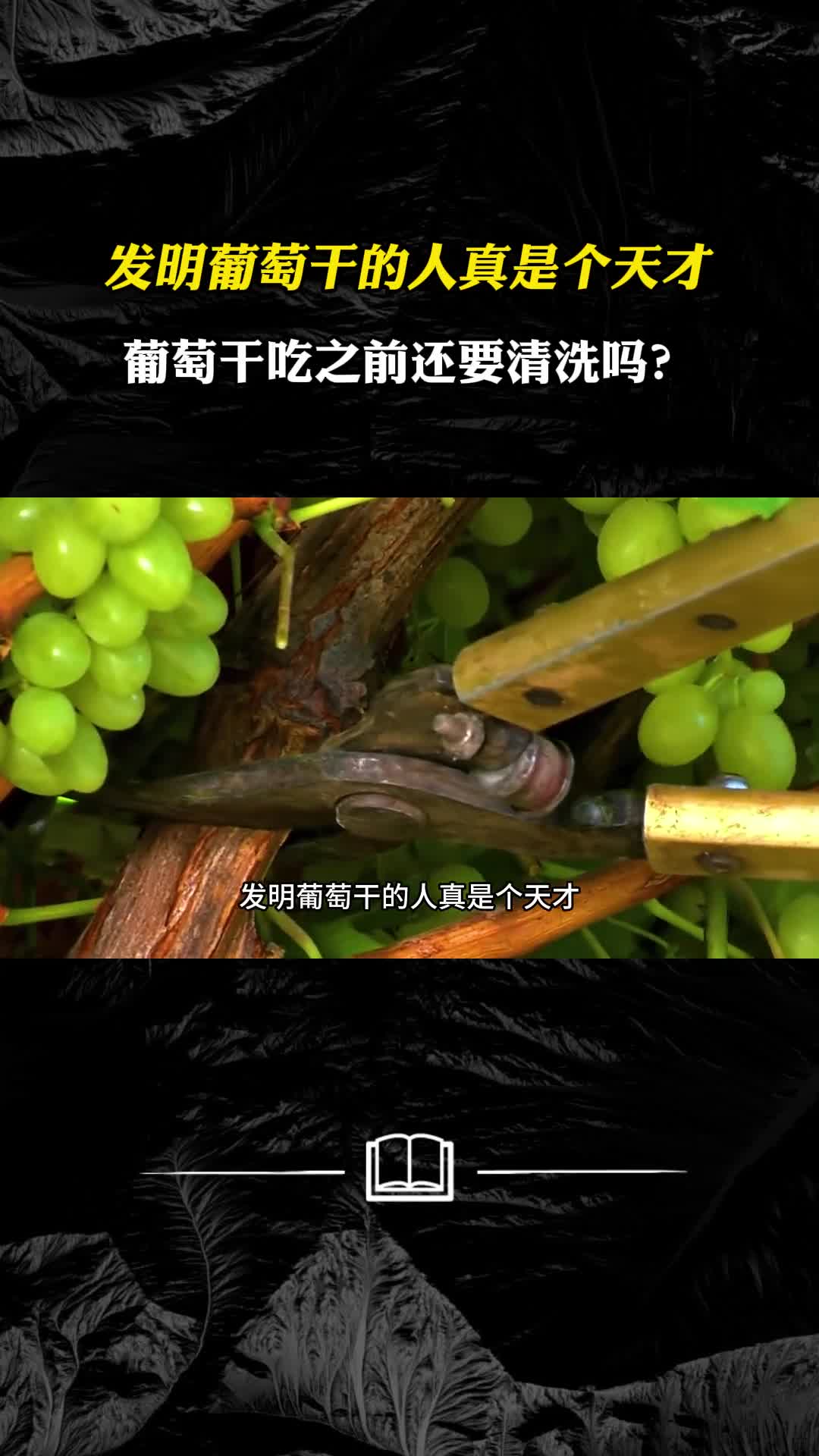 发明葡萄干的人真是个天才葡萄干吃之前究竟要不要清洗