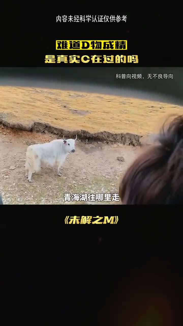 动物不许成精为什么呢
