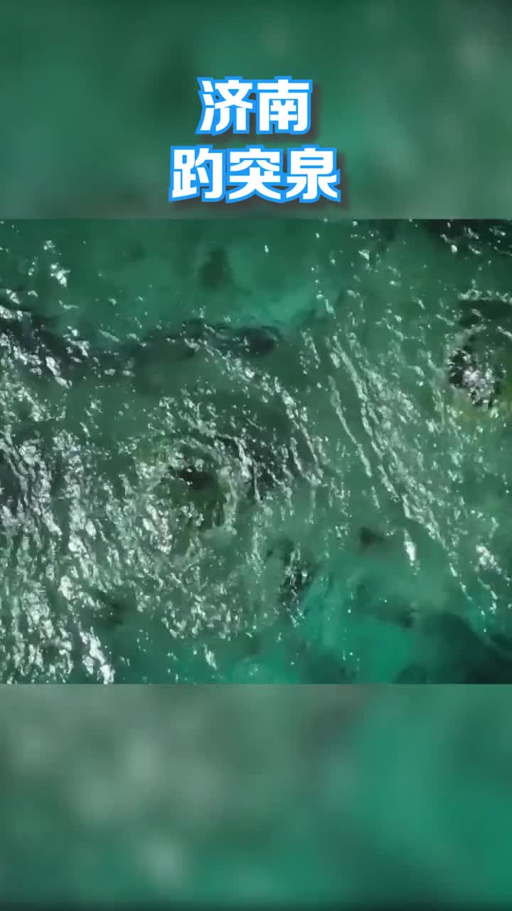 什么是你心目中的山东印象评论区留下你的观点吧