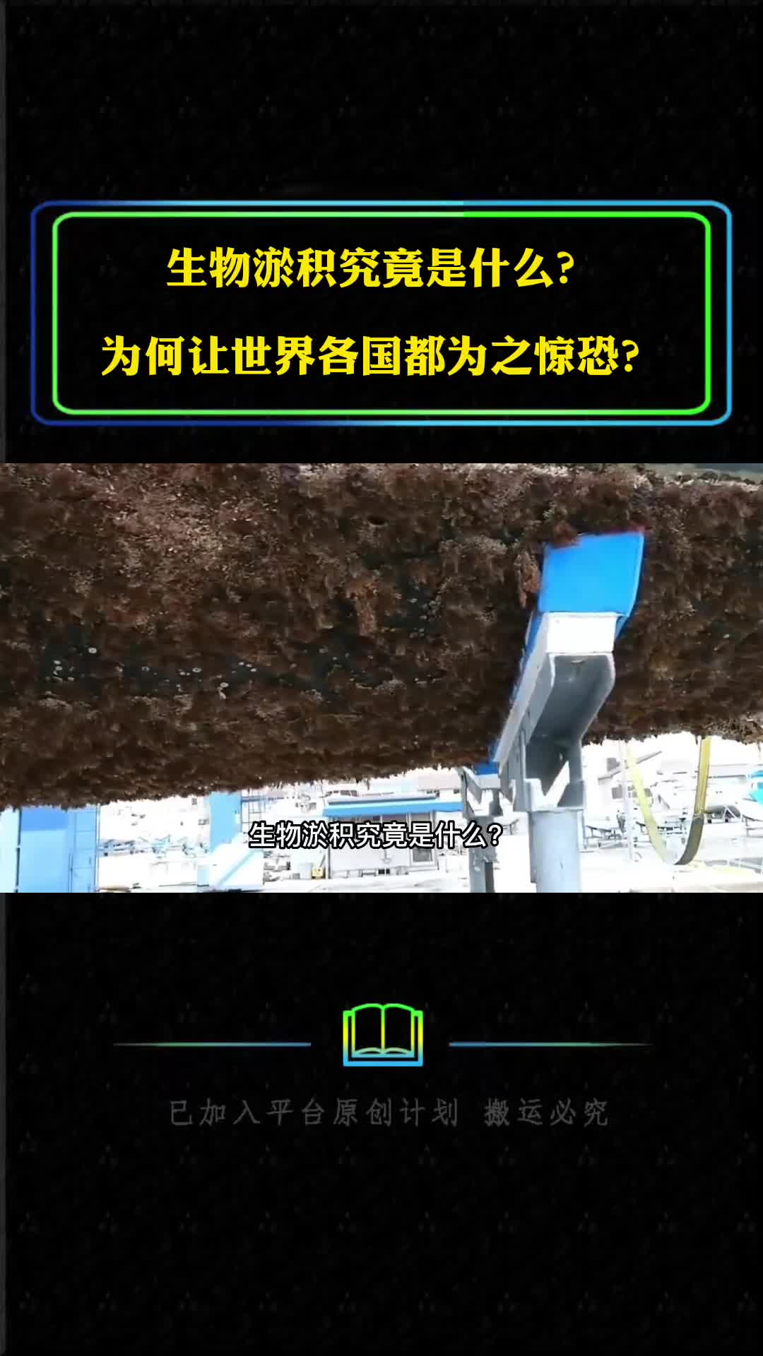维京猎户星游轮被多港口禁止靠岸生物淤积是什么有什么危害