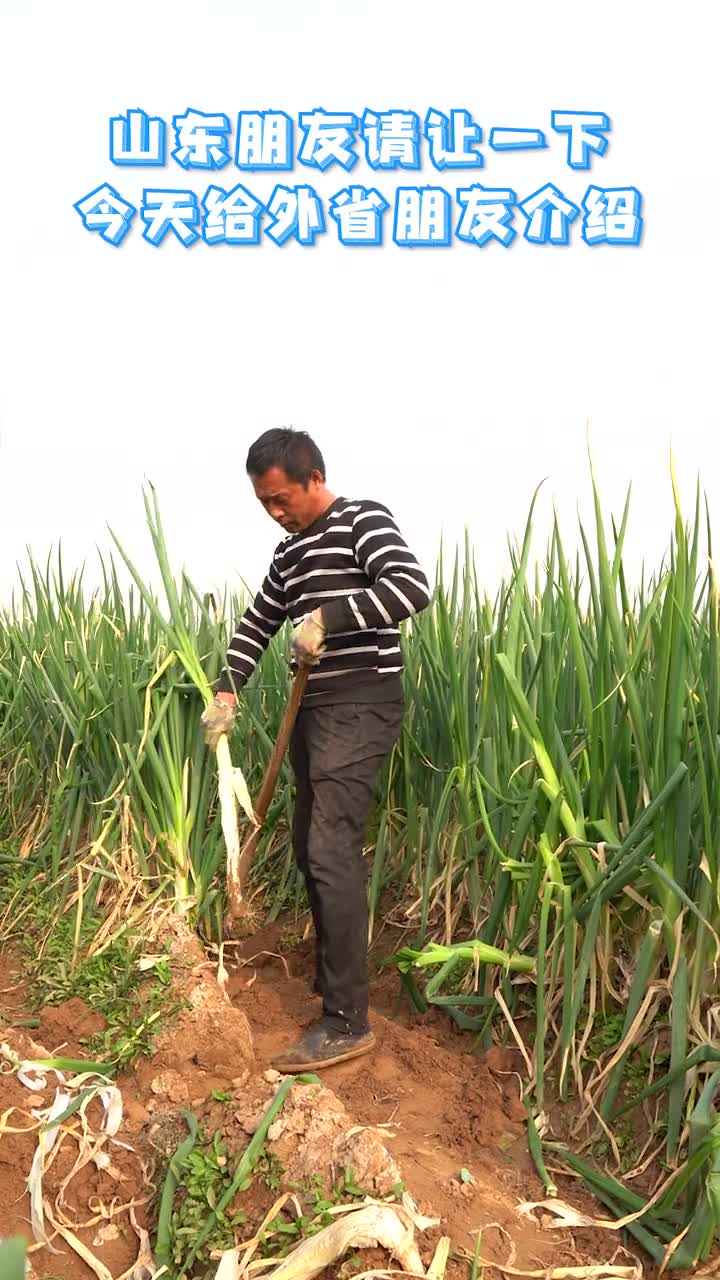 外地网友看过来向你正式介绍一下山东