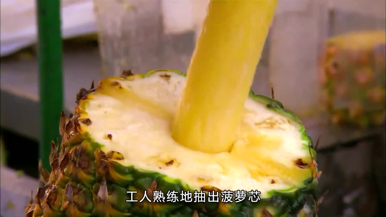 揭秘菠萝加工厂每天加工2000斤的菠萝到底干不干净