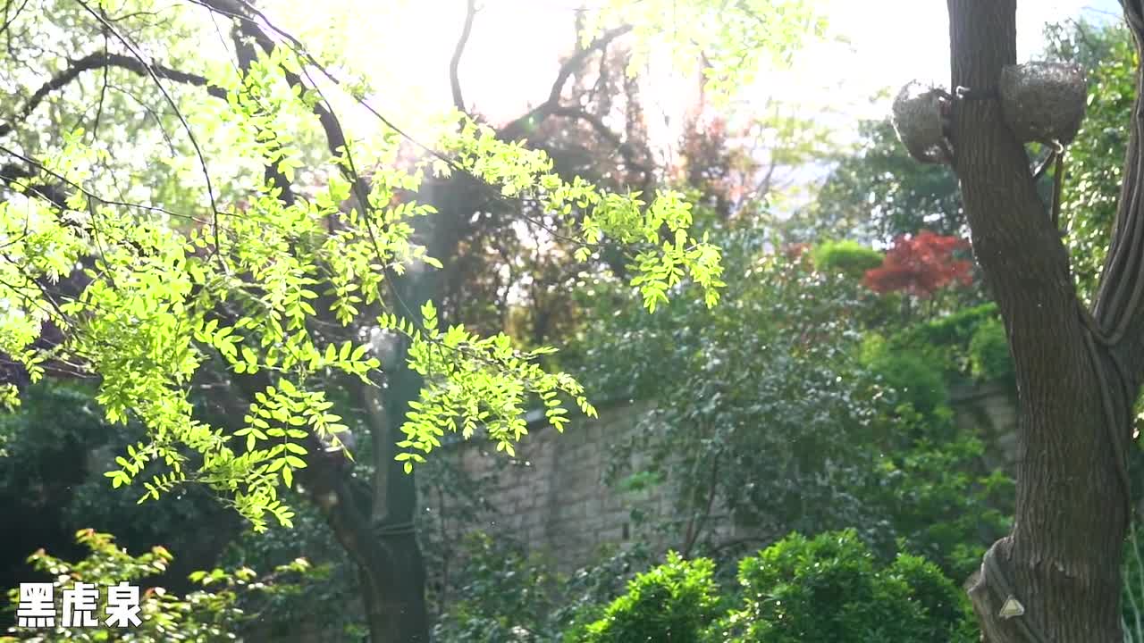 一句春不晚济南胜似江南