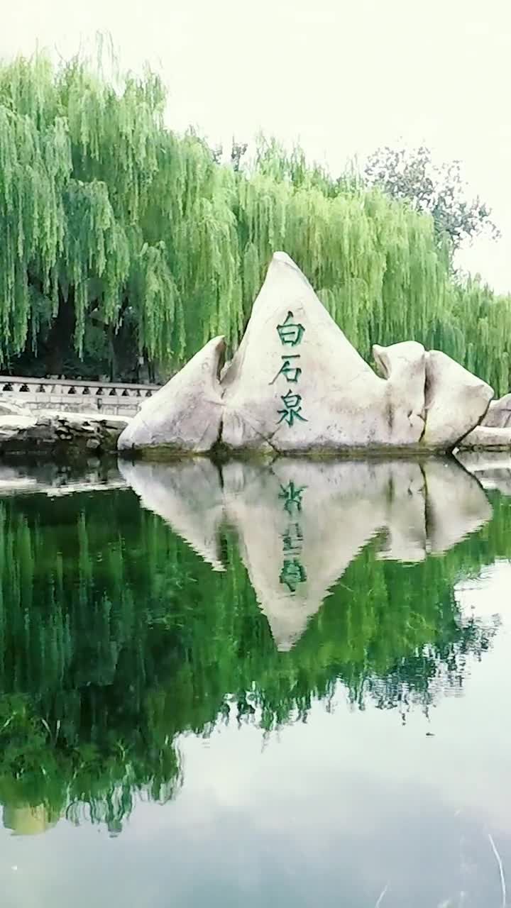 咕噜咕噜第一视角带你探索济南泉水下的世界