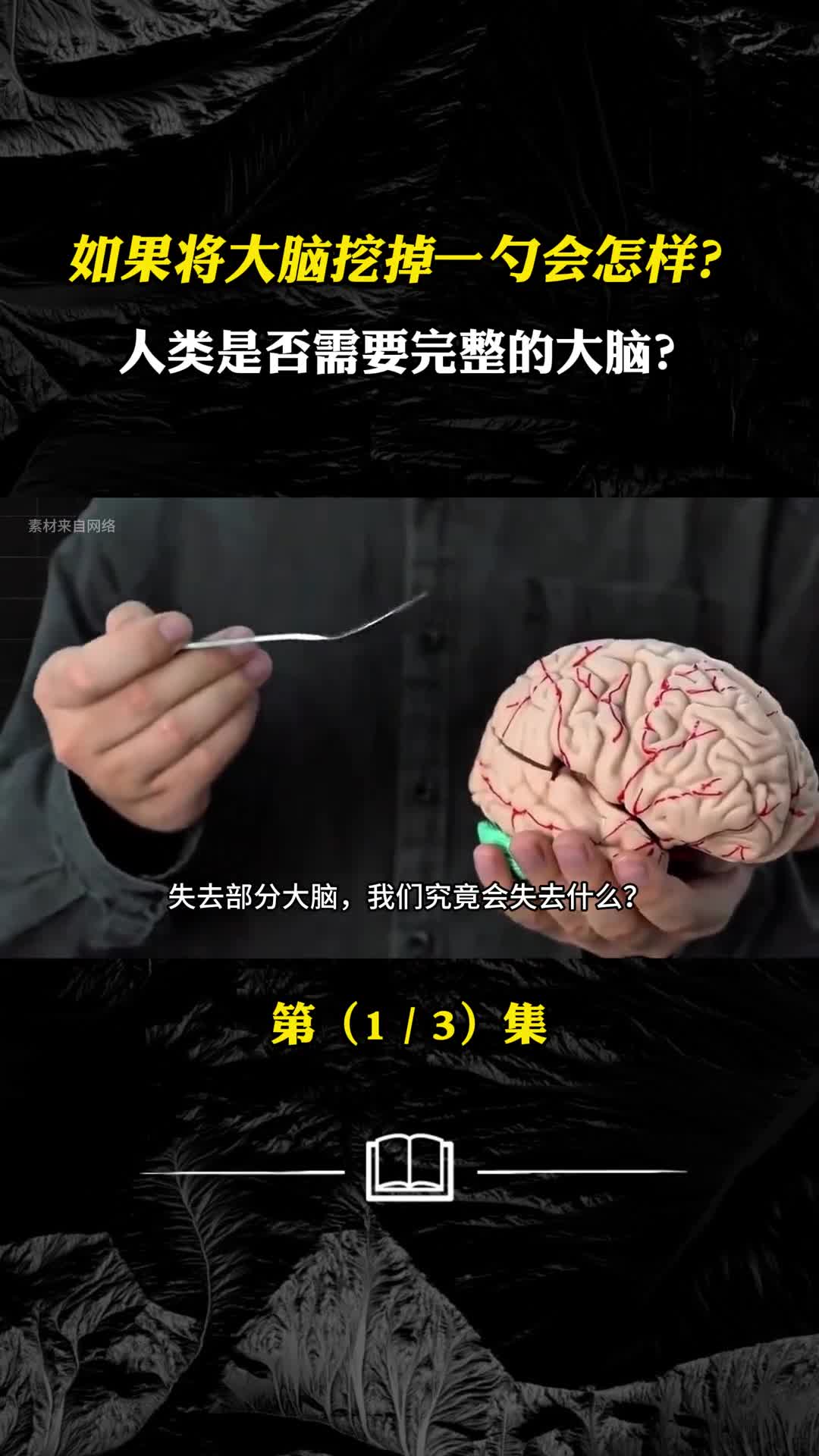 如果将大脑挖掉一勺会怎样人类是否需要完整的大脑