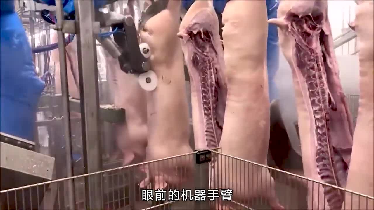 法国的肉枣小香肠你吃过吗