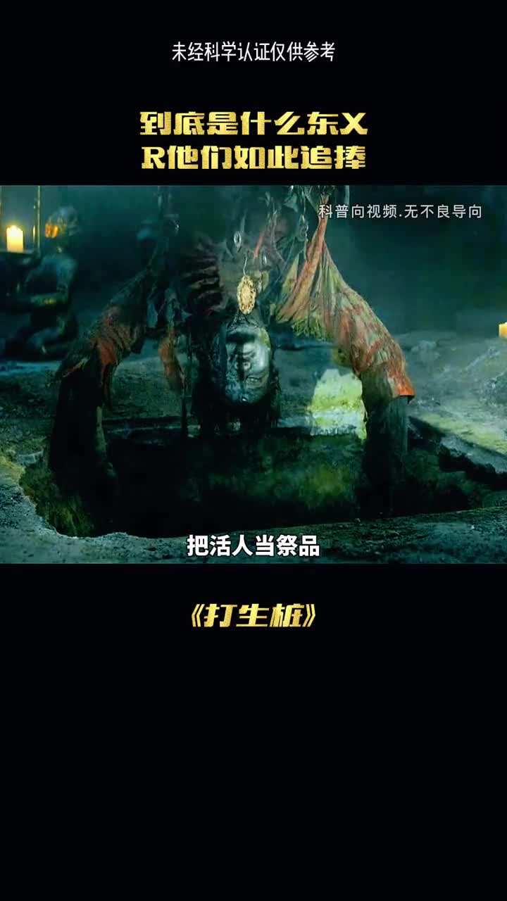 到底是什么东西然他们如此追捧