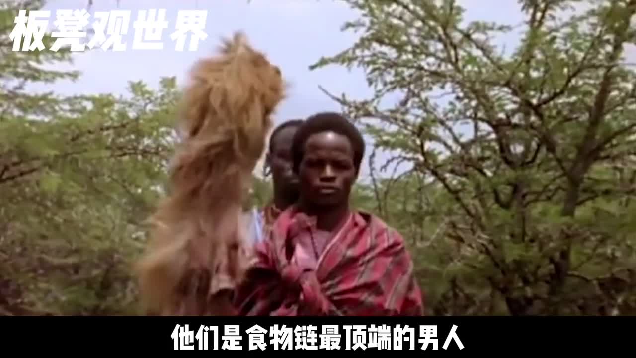 狮子的克星马赛人从狮口中夺食