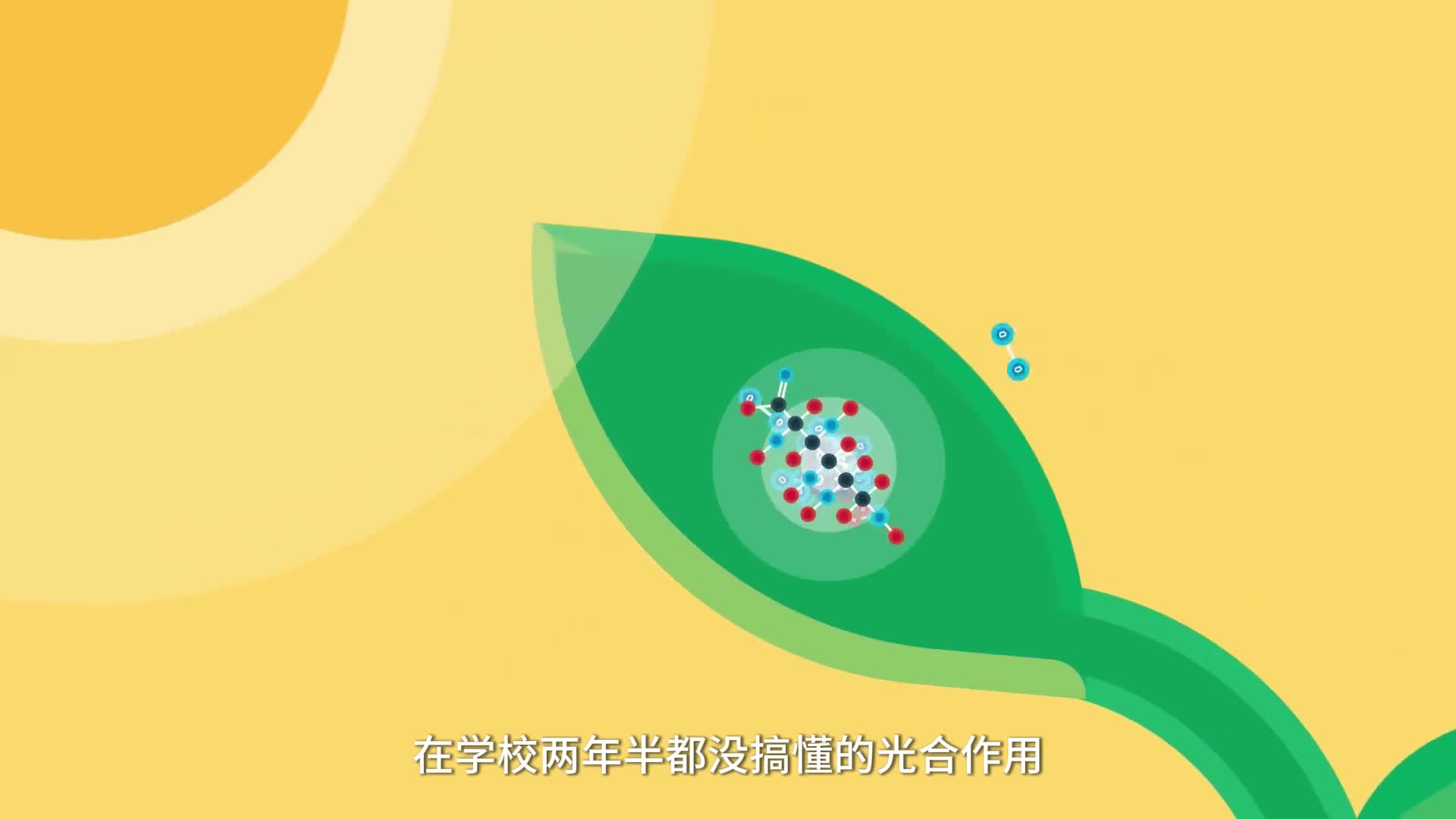 2分钟给你讲明白光合作用在学校2年半都没搞懂的光合作用带你2分钟看懂