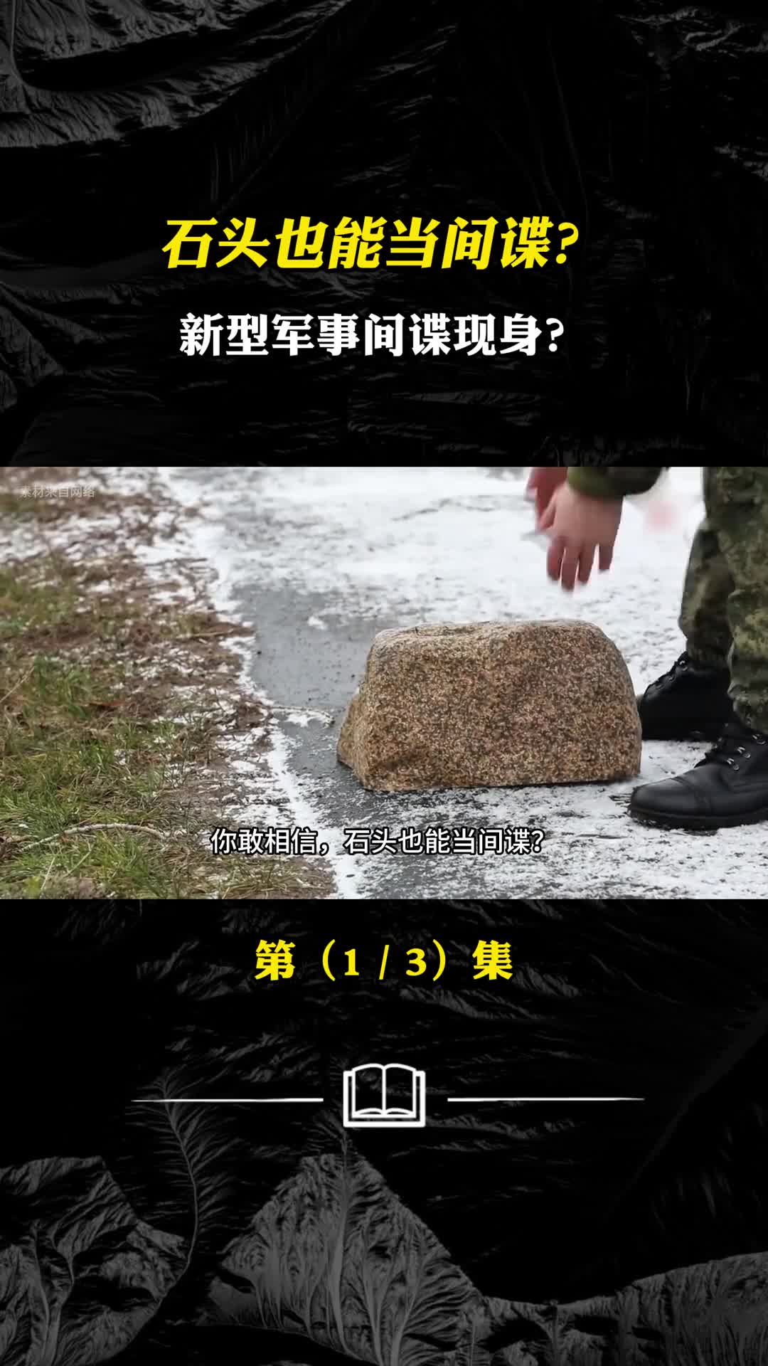 石头也能当间谍新型军事间谍现身