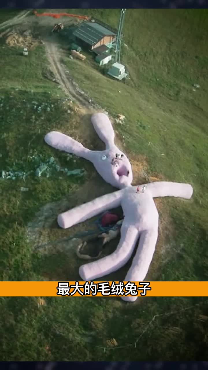 世界上最大毛绒兔子