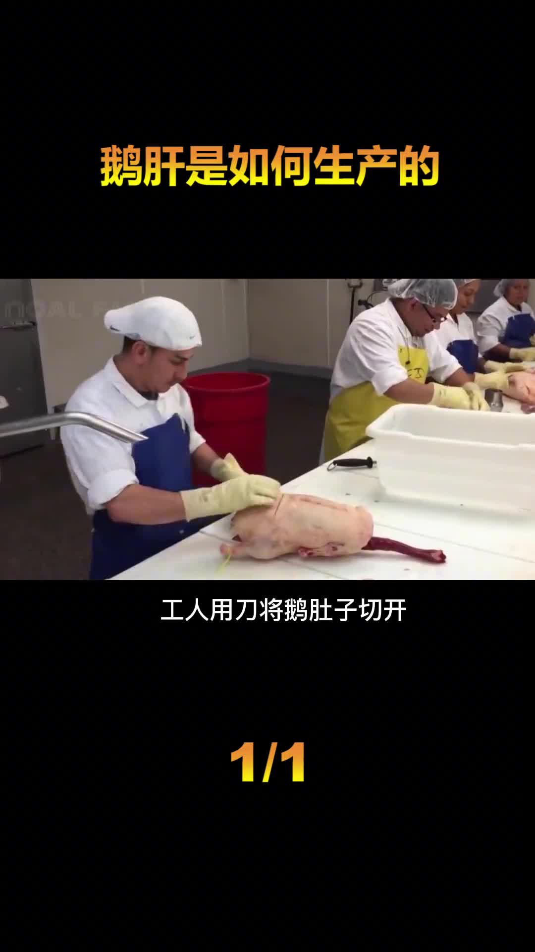 鹅肝是如何生产的