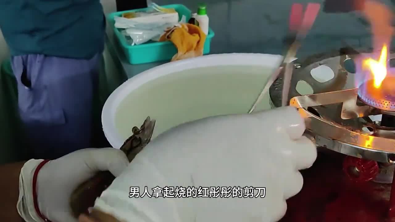 发明凤尾虾干的人真是个天才一整只鲜虾烘烤成干肉质紧实有嚼劲越吃越香