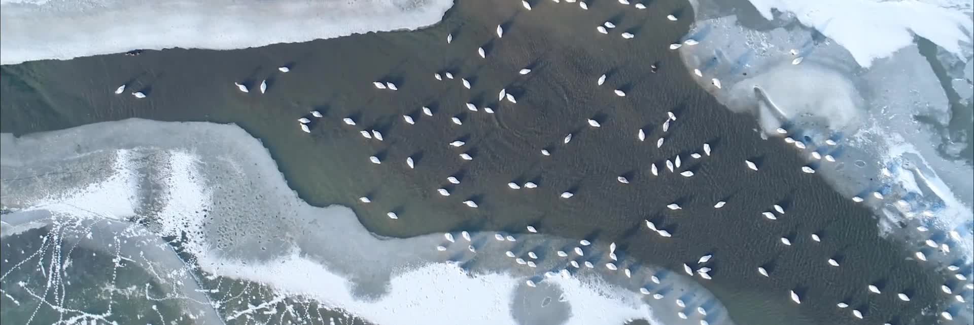 冬游齐鲁好客山东惠民季活动开始啦这个冬天来这些地方赴一场齐鲁之约