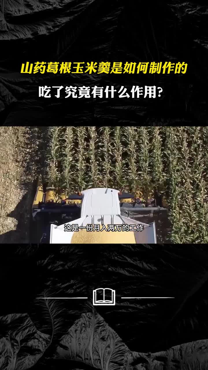 山药葛根玉米羹是如何制作的吃了究竟有什么作用