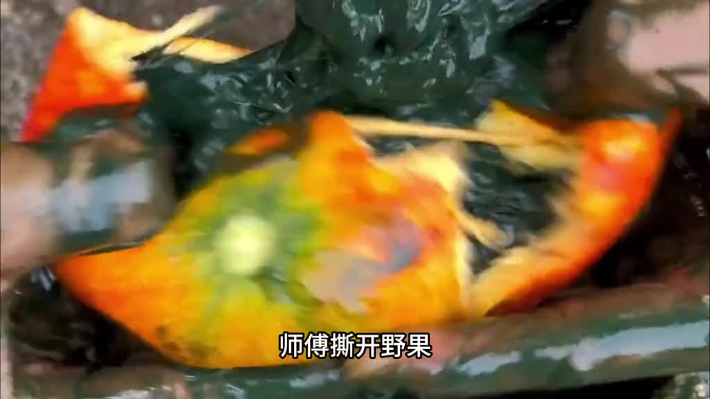 外表像橙子里面却像鸭屎但却吃了还想吃