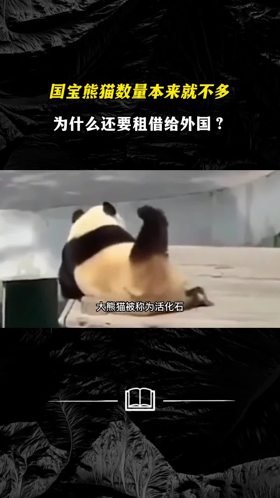 国宝熊猫数量本来就不多为什么还要租借给外国
