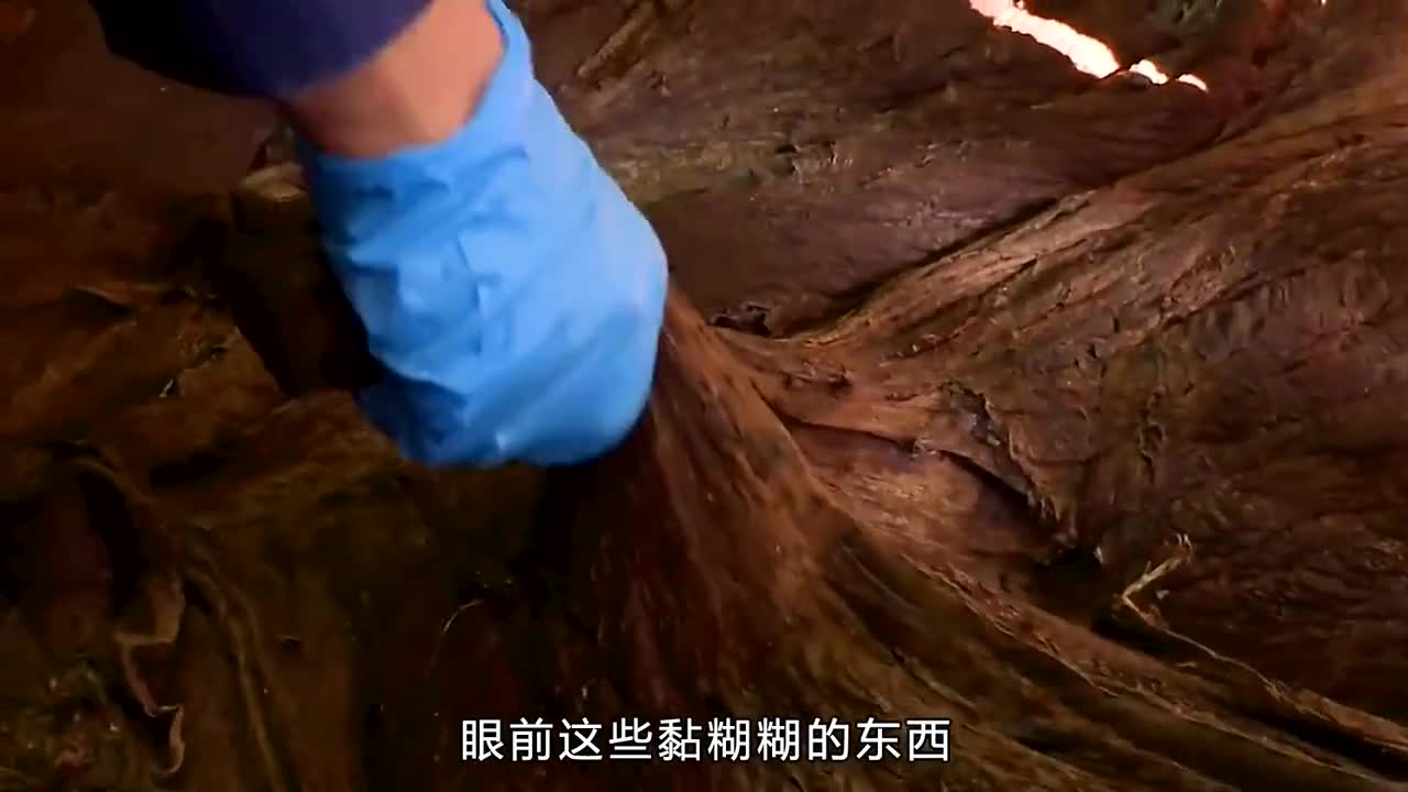 甘种甘草糖你吃过吗