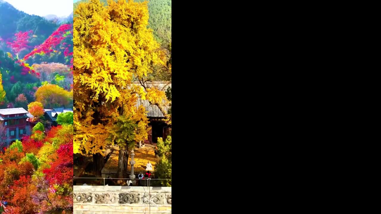 一起来看多彩山东锦绣山河用浓郁的色彩勾勒出一幅美丽的画卷目之所及皆是齐鲁美景