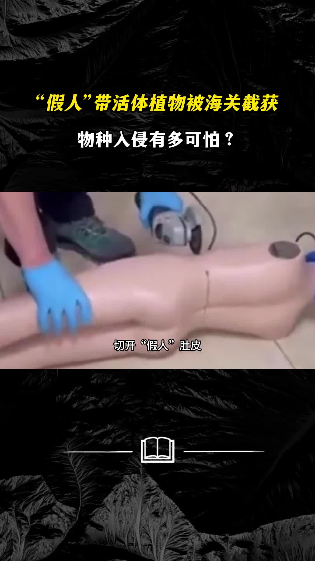模特带活体植物被海关截获物种入侵有多可怕