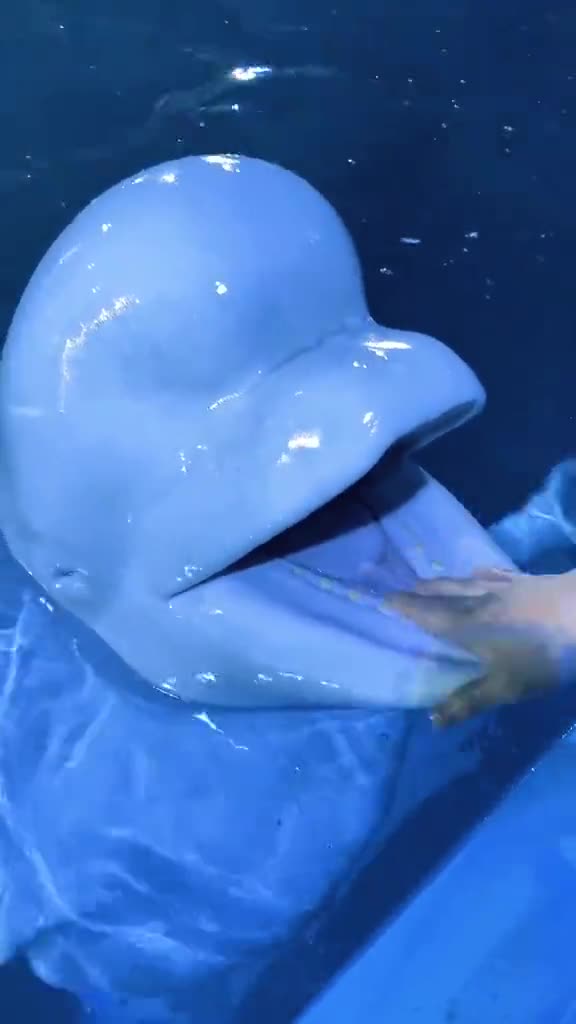 三年里最喜欢看你快乐地笑了往后余生我会一直陪伴你照顾你