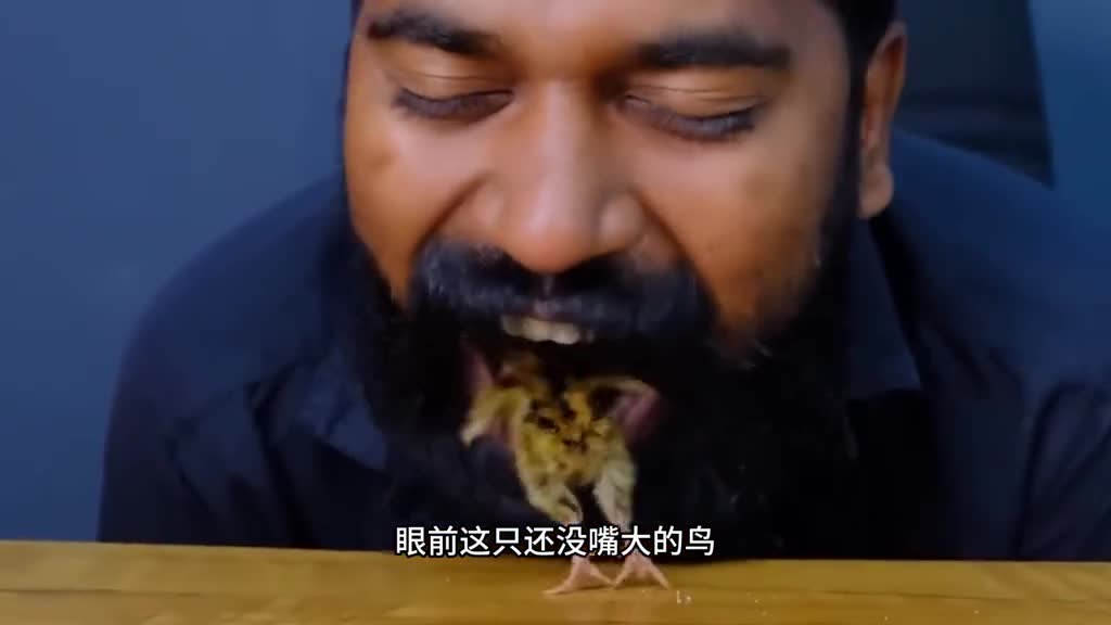 鹌鹑蛋是如何生产的