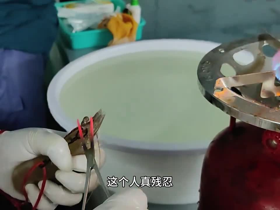 这个凤尾虾干也太好吃了吧一整只虾烘烤成干味道鲜美越嚼越香