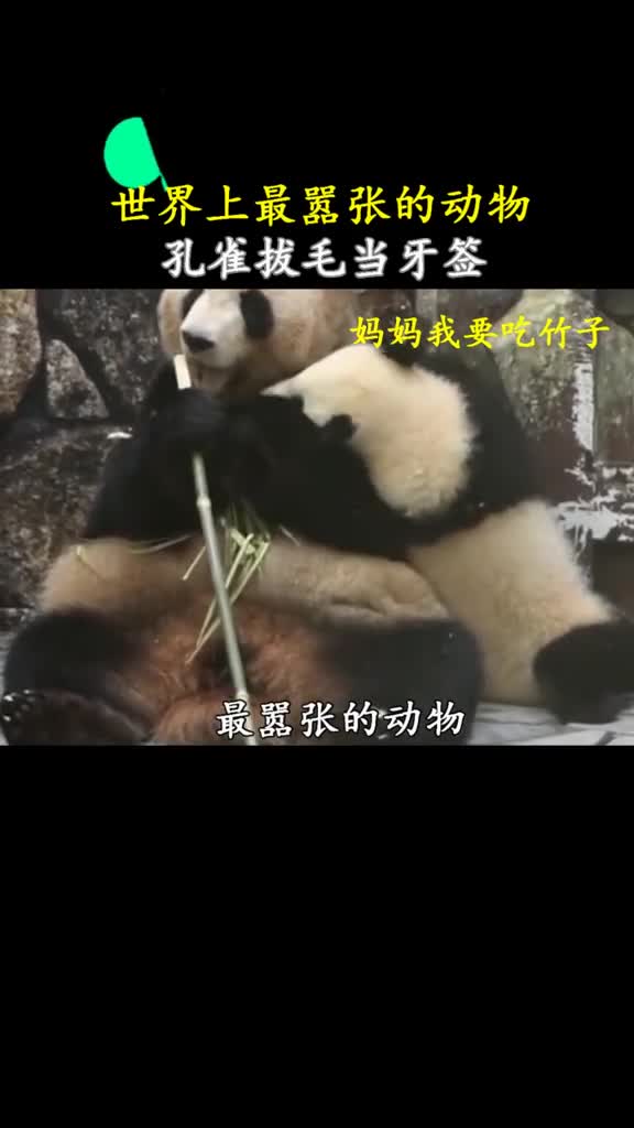 在食物面前变得六亲不认要不是有我们恐怕早已绝种