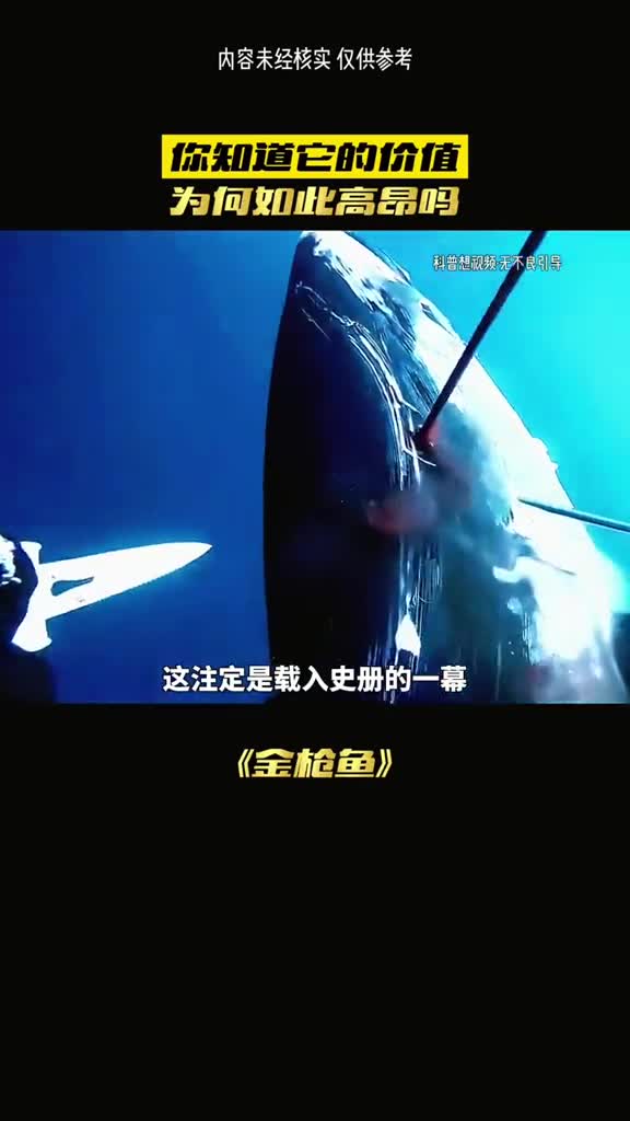 你知道金枪鱼为何这么贵吗