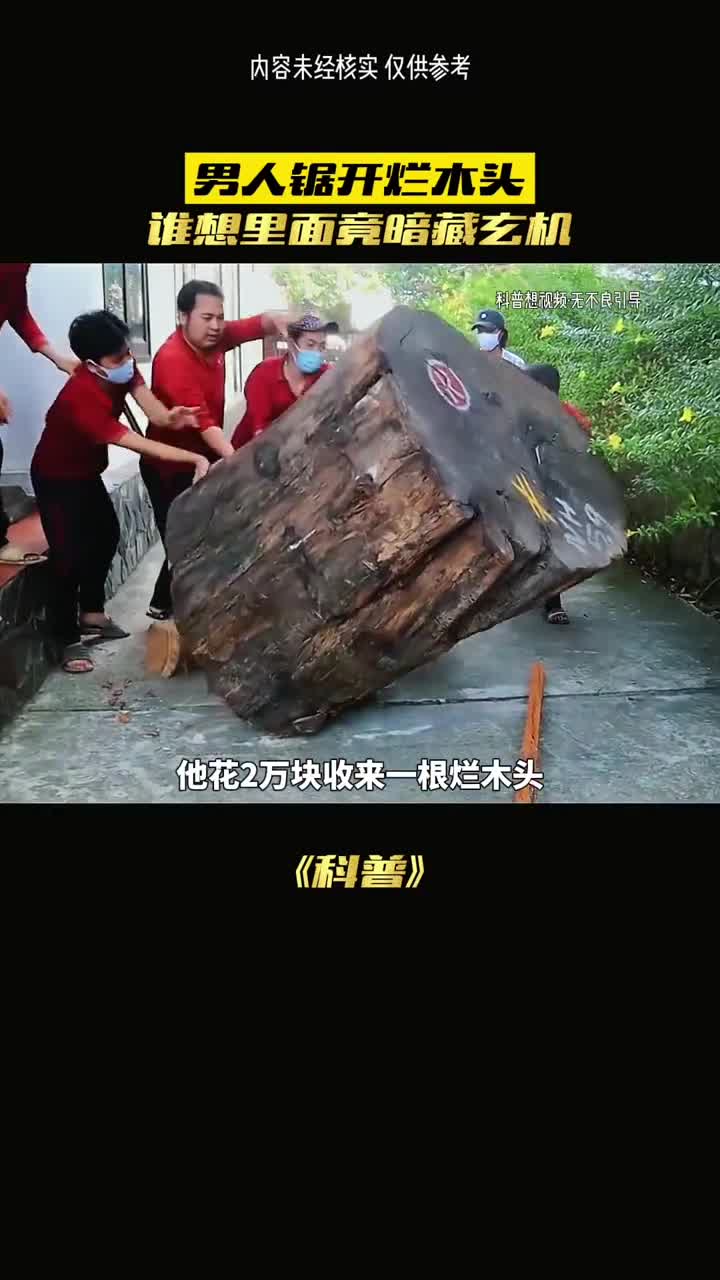 这个神奇木头到底是什么