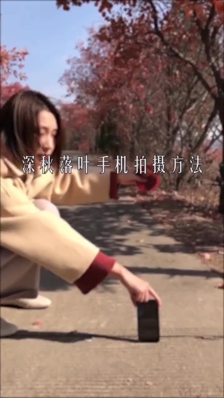 一秒get大片唯美深秋落叶手机拍摄教程速来领取