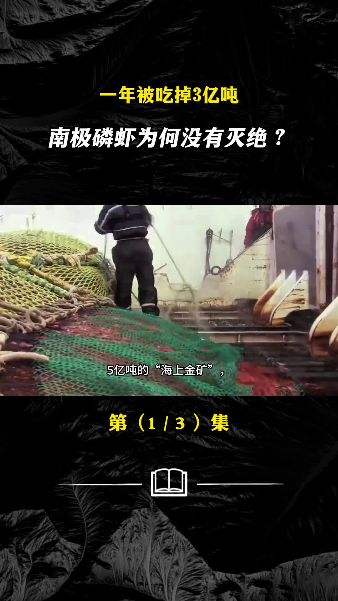 一年被吃掉3亿吨南极磷虾为何没有灭绝