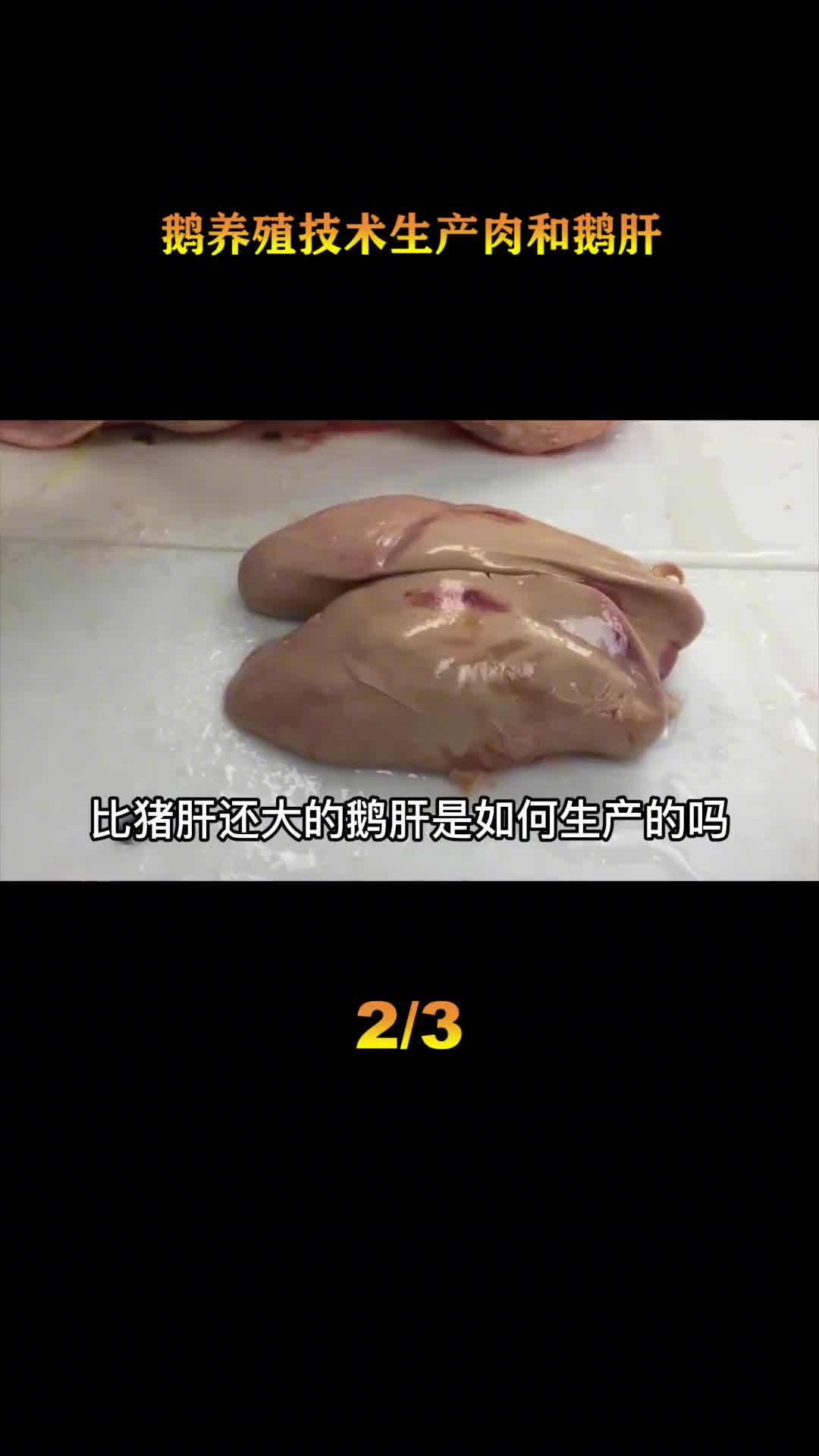 探访鹅肝加工厂养殖场为赚钱不择手段10公斤的鹅取出3公斤肝