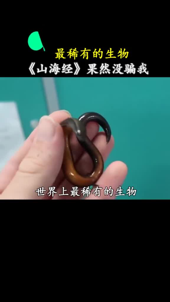 世界上还有很多人类没发掘到的生物而山海经种的某些记载或许真实存在