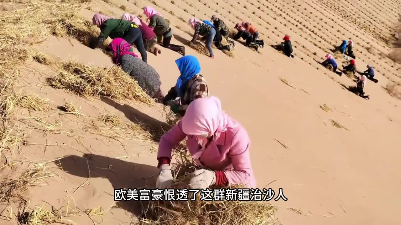 小小一颗果子真不一般