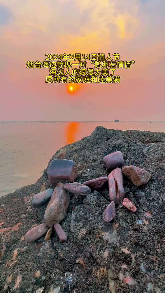 2024年2月14日烟台海边惊现一对鹅卵石情侣烟台海边人的浪漫如沐浴春风太美了