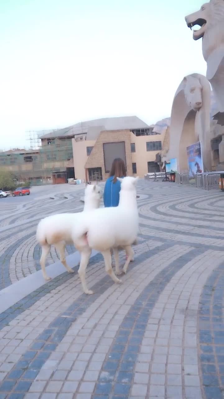 到底是谁去幼儿园呢